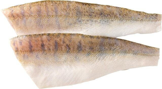 Zanderfilets