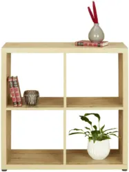 Regal Kalle aus Wotaneiche